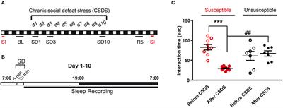 Effects of Social Defeat Stress on Sleep in Mice